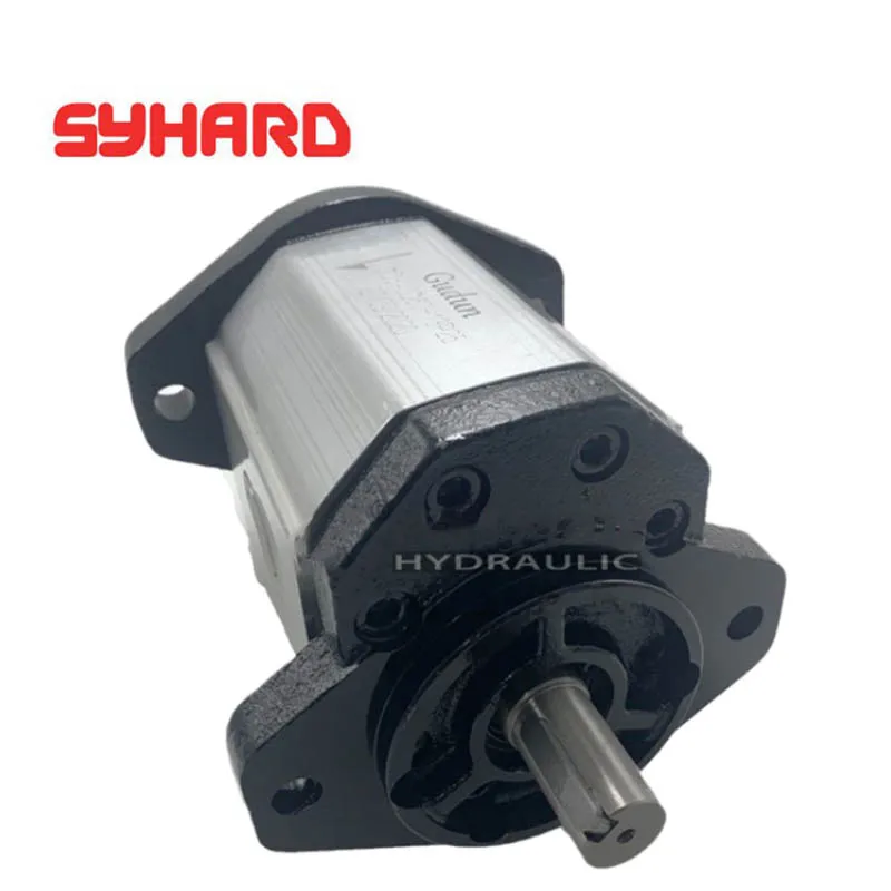 Gear Pump Hydraulic Oil Pump GD3A0D60H13P25