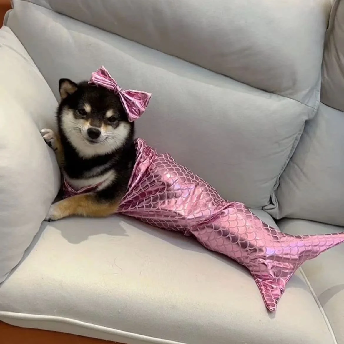 Cat Mermaid Tail Costume 2 Pieces Bikini Swimsuit Shiny Scale Puppy Dress For Kitten Small Dog Halloween Cosplay Clothes