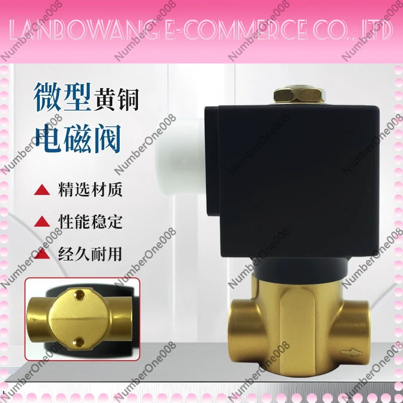 Mini Brass Solenoid Valve 2 Way Direct Acting High Pressure for Water Air Humidifier