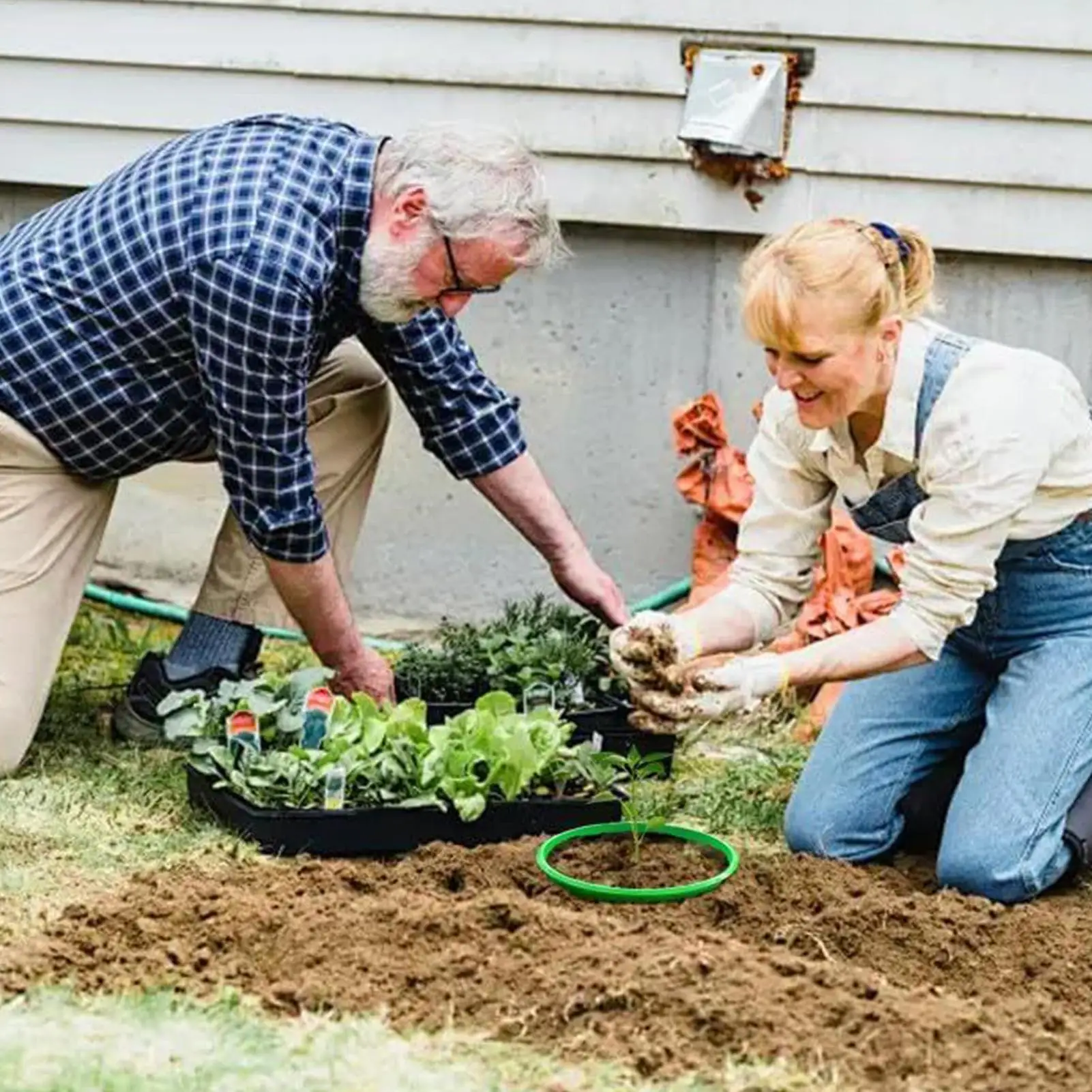 

Planting Rings For Garden 6 Pieces Garden Cloches Round Grow Rings For Outdoor Lawn Yard Greenhouse Vegetable Shrub Flower Bed