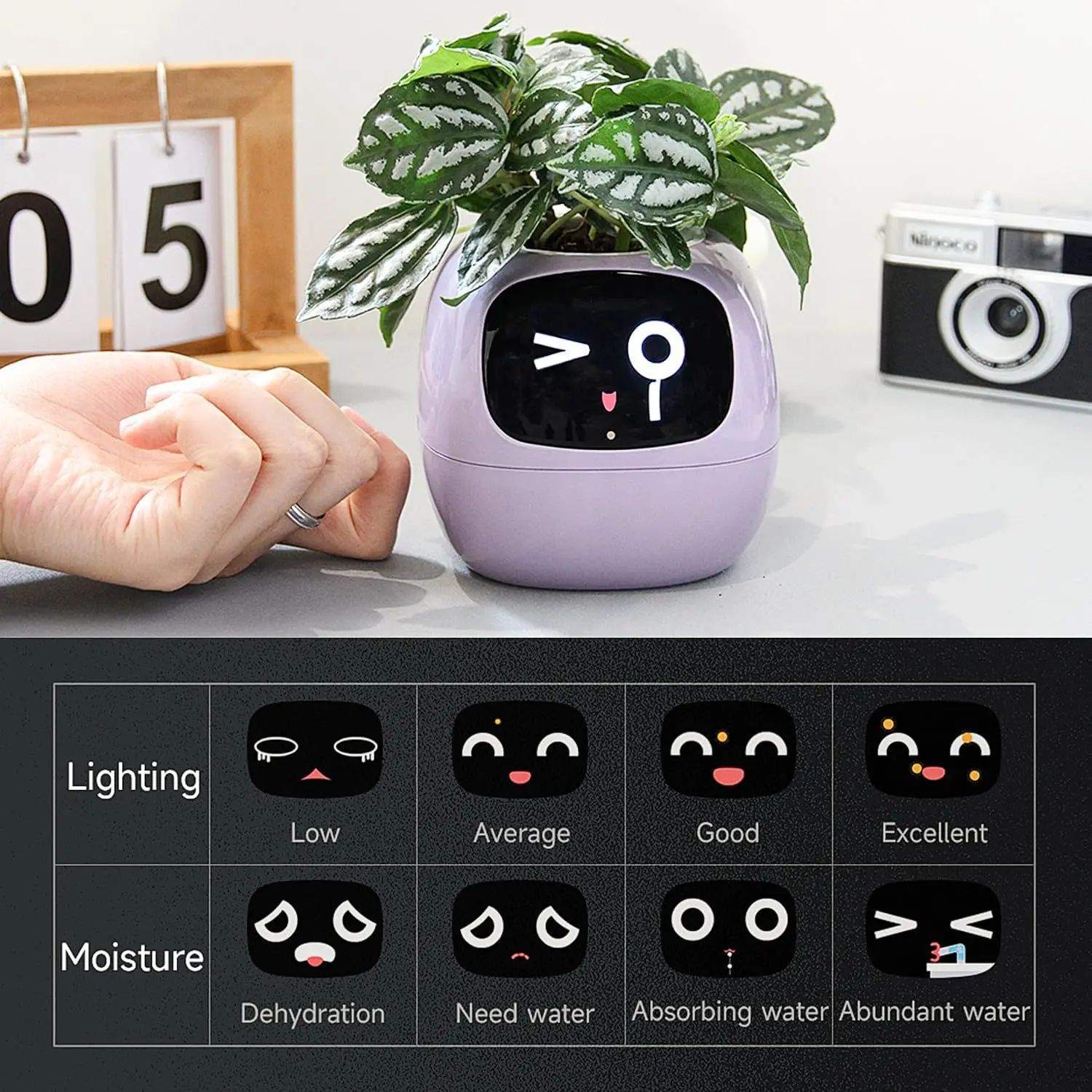 IVY Intelligent Planter Electronic Pet Emotional Interactive Automatic Monitoring Temperature and Humidity Creative Plant Pot Gi