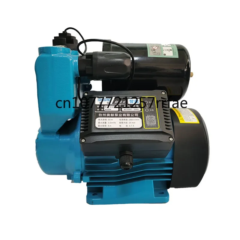 Bomba De Picsina Agriculture Shower Pressure Booster Self Priming Pumps Selfpriming Centrifugal Water Pump