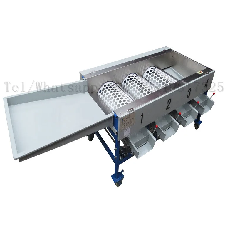 Fruit classifier sorting machine fruit picking machine 3 size 4 type Citrus Fruit Orange Size Sorting Machine