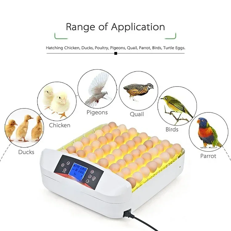 

High hatching rate automatic Chicken egg incubator /Egg hatching machine price