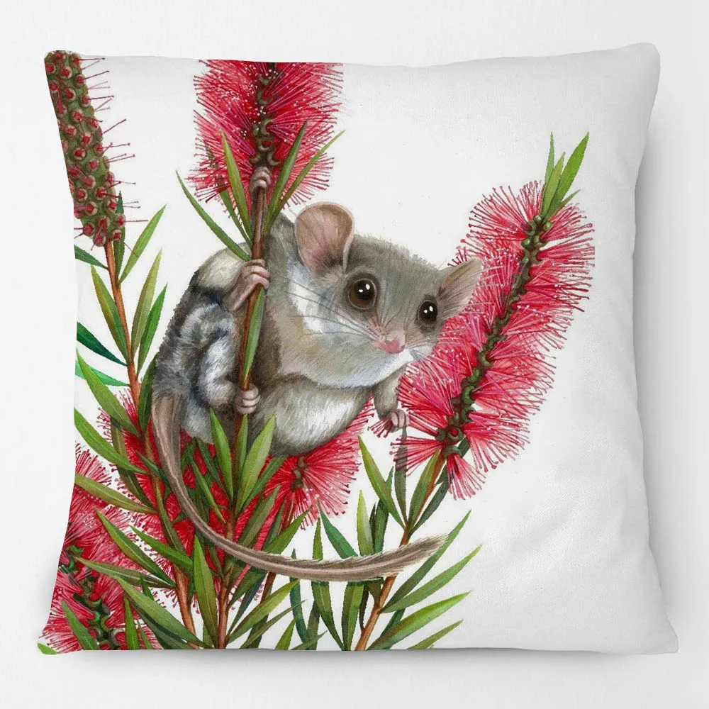 Australian Animals Koala Kookaburra and Gum Leaves Cushion Covers Pillowcase For Sofa