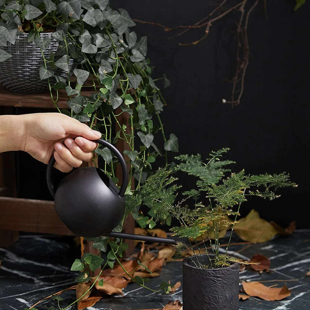 

1Pcs Stainless Steel Watering Kettle 1000Ml Long Spout Precise Watering Garden Supplies Enlarged Inlet