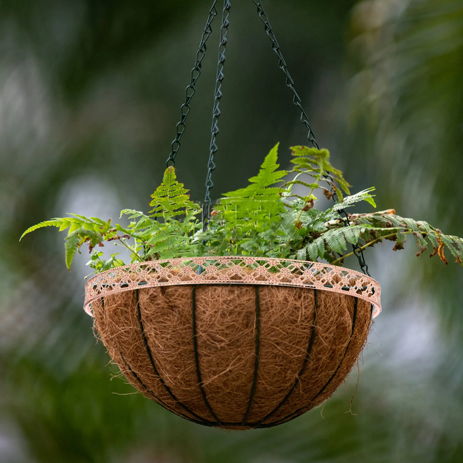 

Multifunctional DIY Air Plant Hanger Ring 25cm Metal Hanging Ring Replacement Party Decoration Indoor Plant Holder