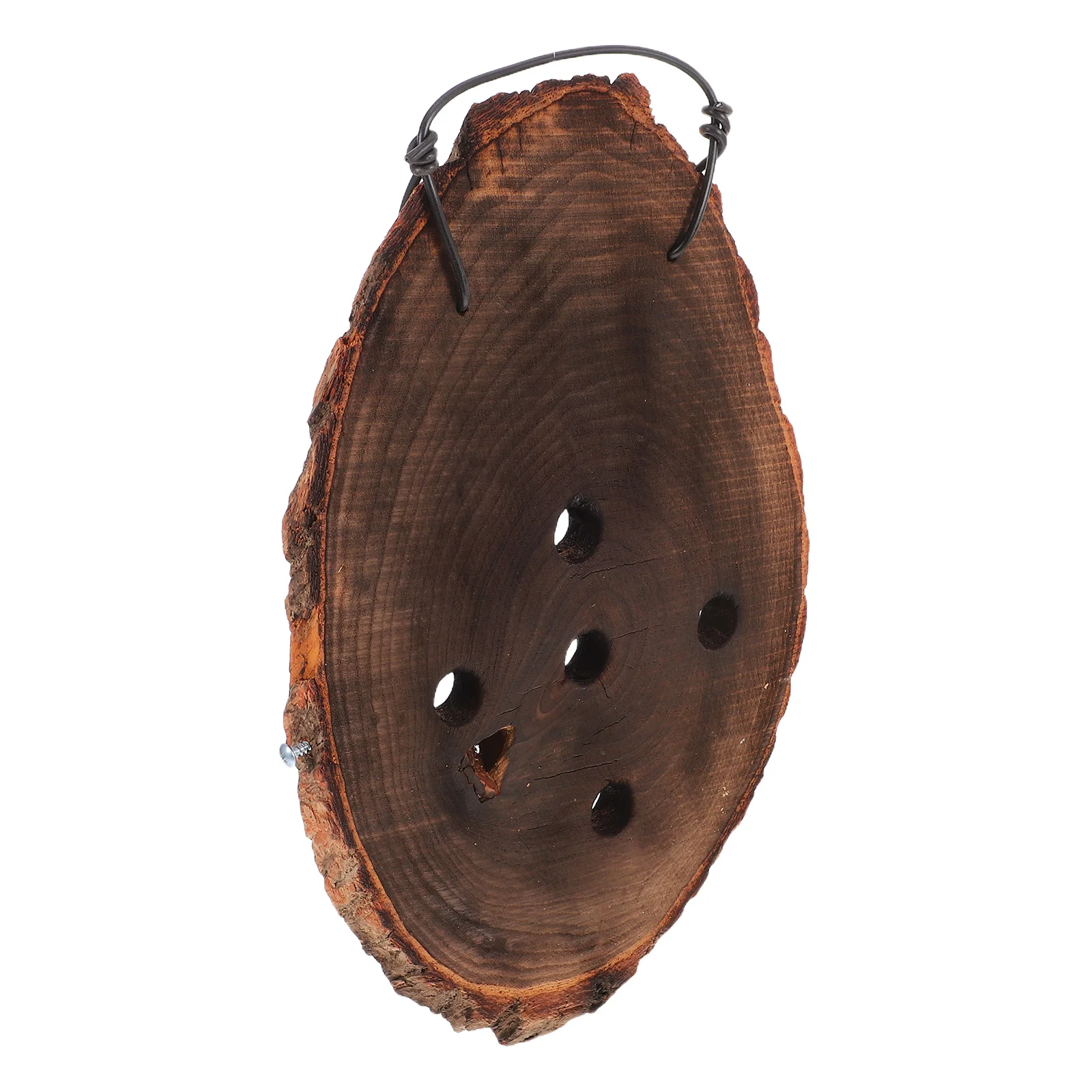 

Staghorn Fern Solid Wood Planting Board Durable Carbonized Wall Moisture Resistant Air Indoor Decor Wooden Hanging