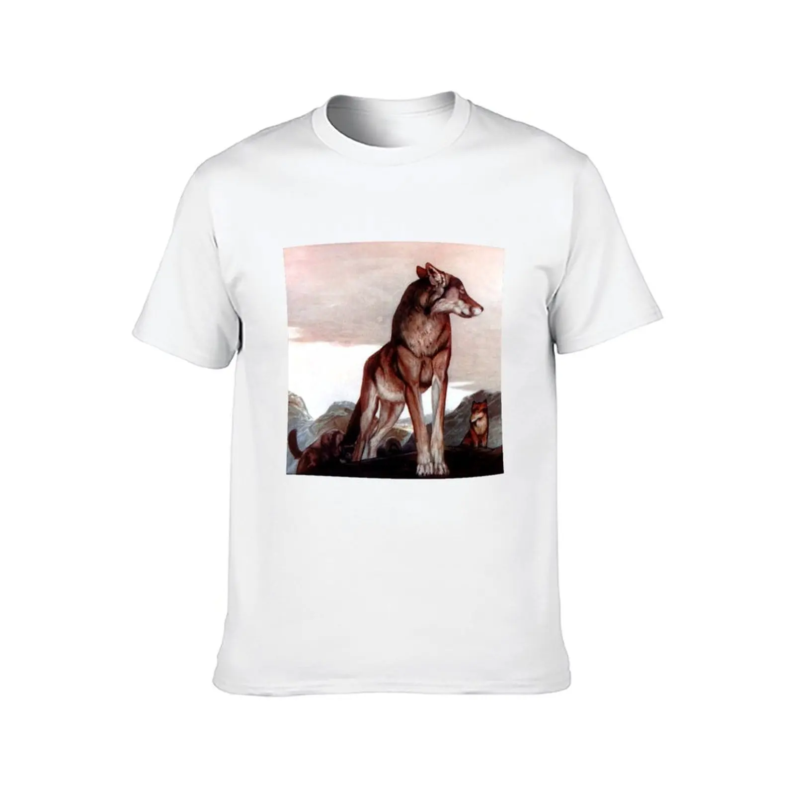 كتاب الغابة - Akela Lone Wolf - إدوارد يوليوس ديتمولد، موريس ديتمولد تي شيرت رجل تي شيرت جرافيك تي شيرت مع مطبوعات تي شيرت