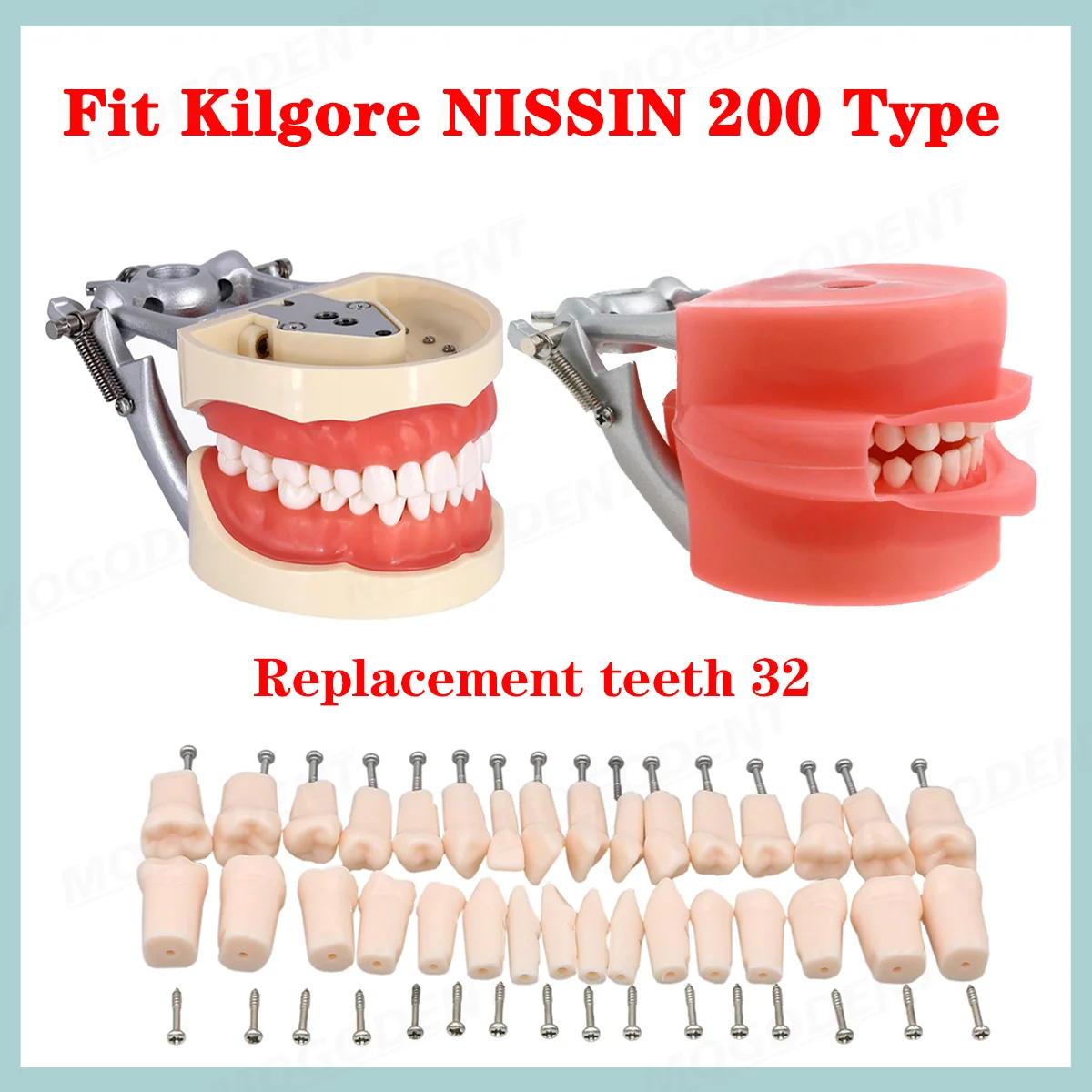 Dental Teeth Model Training With 32 Teeth Rubber Simulation Cheek Dental Teaching Models Compatible Kilgore Nissin 200 Type