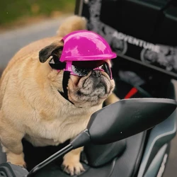 2Pcs Dog Safety Helmet and Bamboo Dragonfly/Goggles Pet Accessories Adjustable Dog Helmets for Small Medium Dogs Outdoor Riding