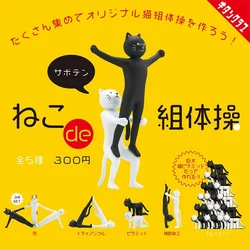 Funny Cats Doing Yoga Gymnasticses Q Version Cartoon Model Toys Mini Figures Desk Decor Kids Gifts