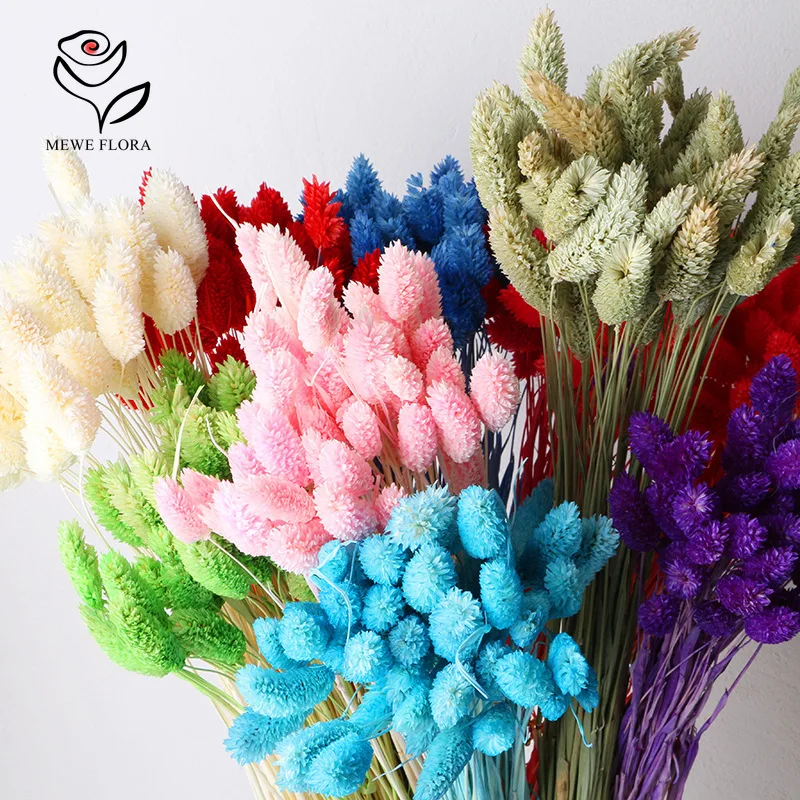 

50PCS Phalaris Grass Natural Dried Flower Jewelry Gem Grass Bouquet Wedding Party Decor Pampas Christmas Romm Home Decoration