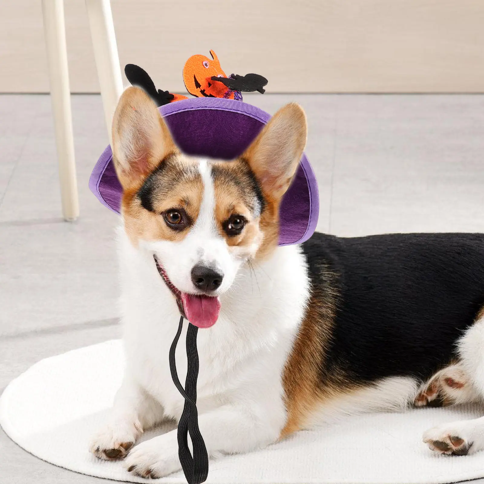 

Шляпа для питомца на Хэллоуин: Забавный головной убор ведьмы для вечеринок, декоративный костюм для собак и кошек, шляпы для кошек на Хэллоуин