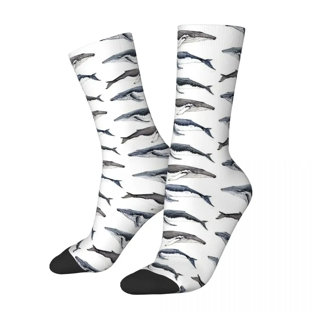 Humpback Whales (Megaptera Novaeangliae) Socks Harajuku Stockings All Season Long Socks for Man's Woman's Birthday Present