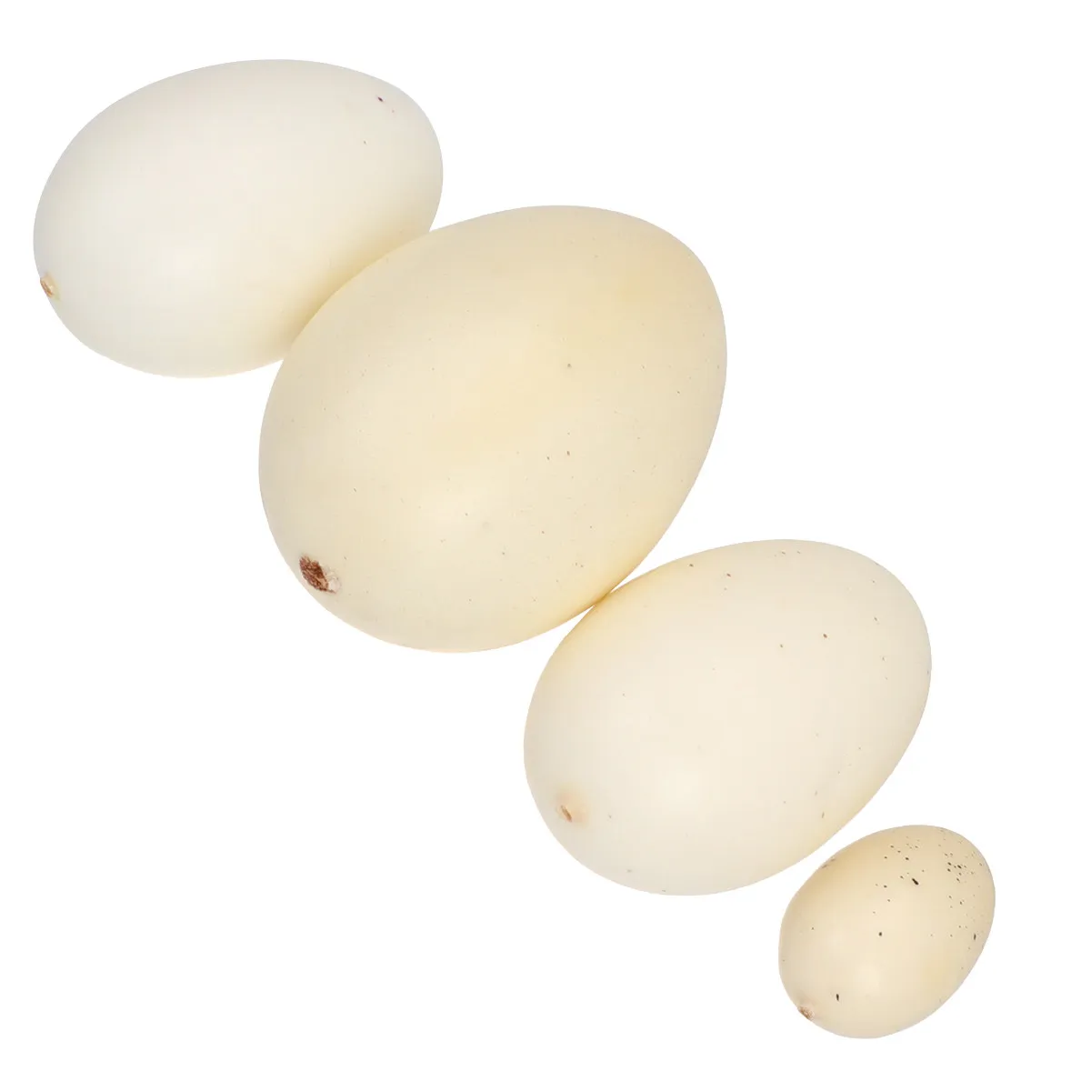 4Pcs Bird Eggs Simulation Realistic Speckled Eggs Assorted Sizes Patterns Suitable for Gift and Painting Simulation Egg
