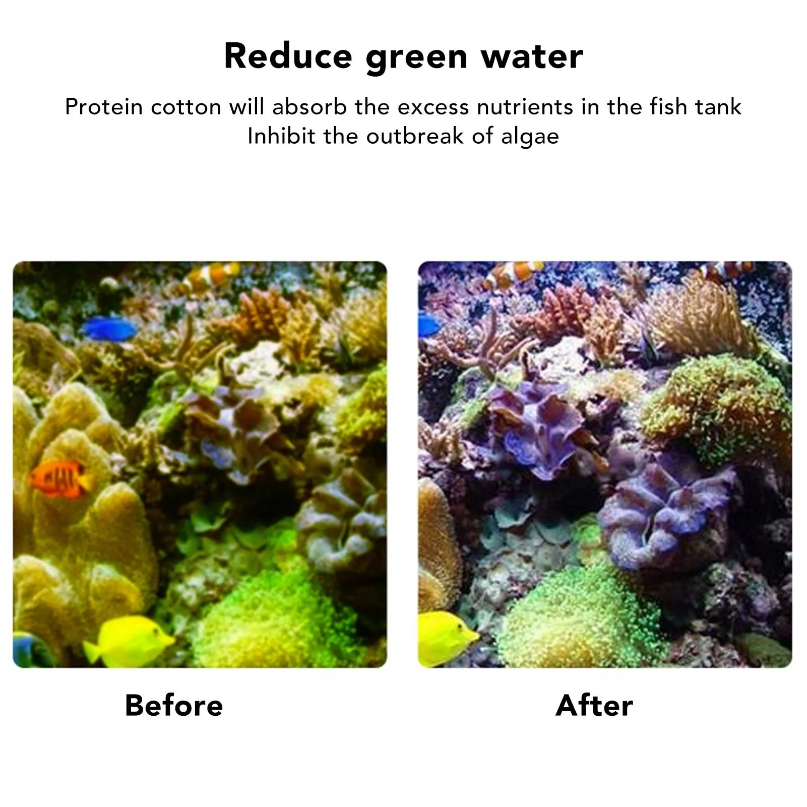 Thumbnail 3 - #44 Best Aquarium Filters to Buy In 2026