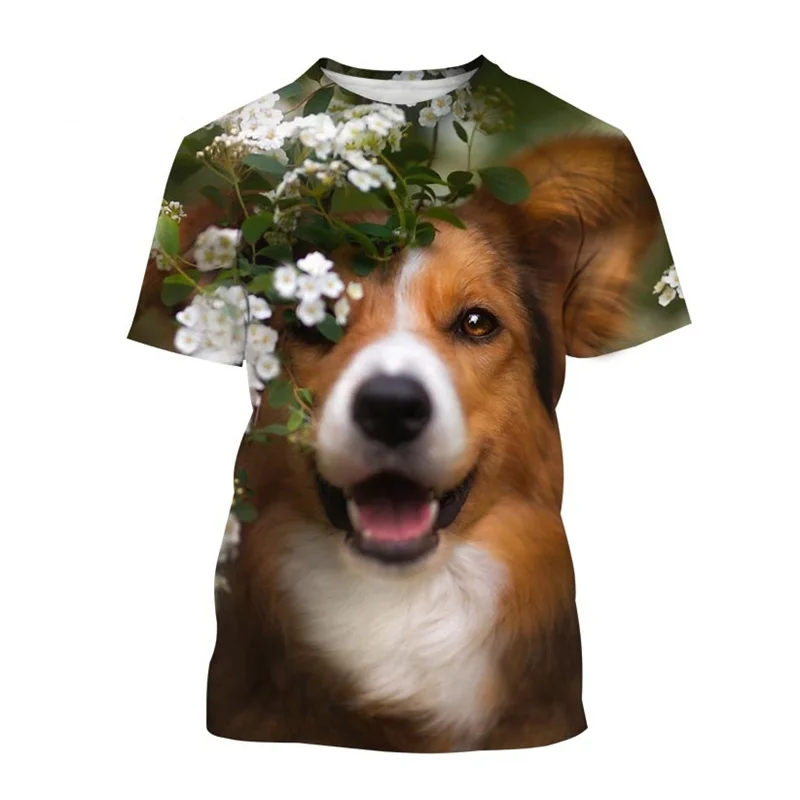 Cute Border Collie 3D Printed T-shirt Fashion Cute Dog Animal Graphics Round Neck T Shirt Casual Streetwear Men Short Sleeves