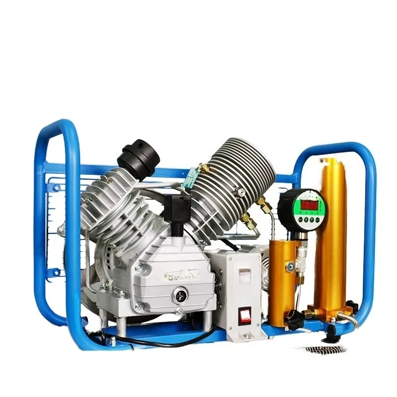 Cross-border Exclusive Supply Electric Lubricated Piston Air Compressor 30MPA Portable 220V LPG for Firefighting