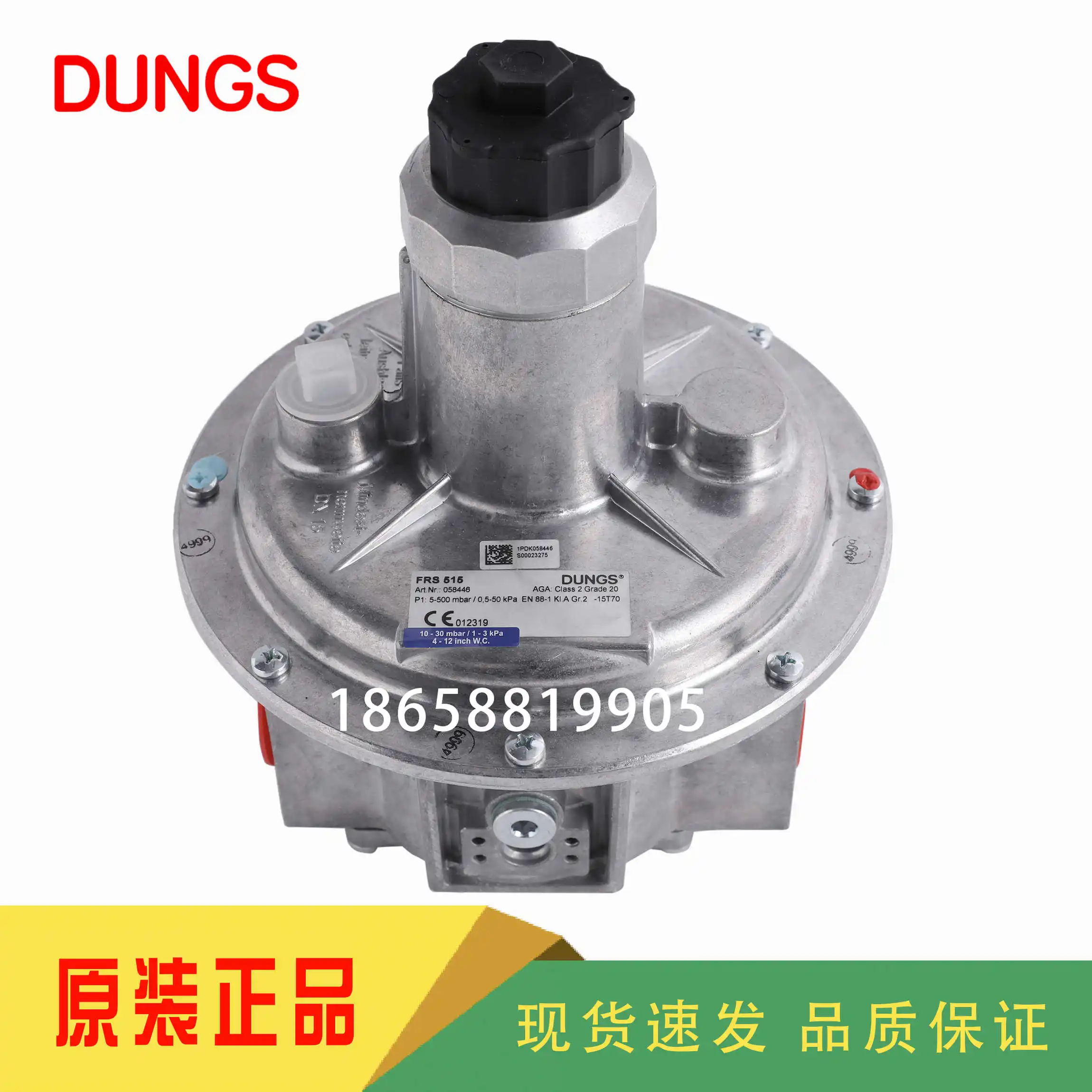 DUNGS FRS505 FRS507 FRS510 FRS515 FRS520 FRS5050 FRS5065 FRS5080 FRS5100