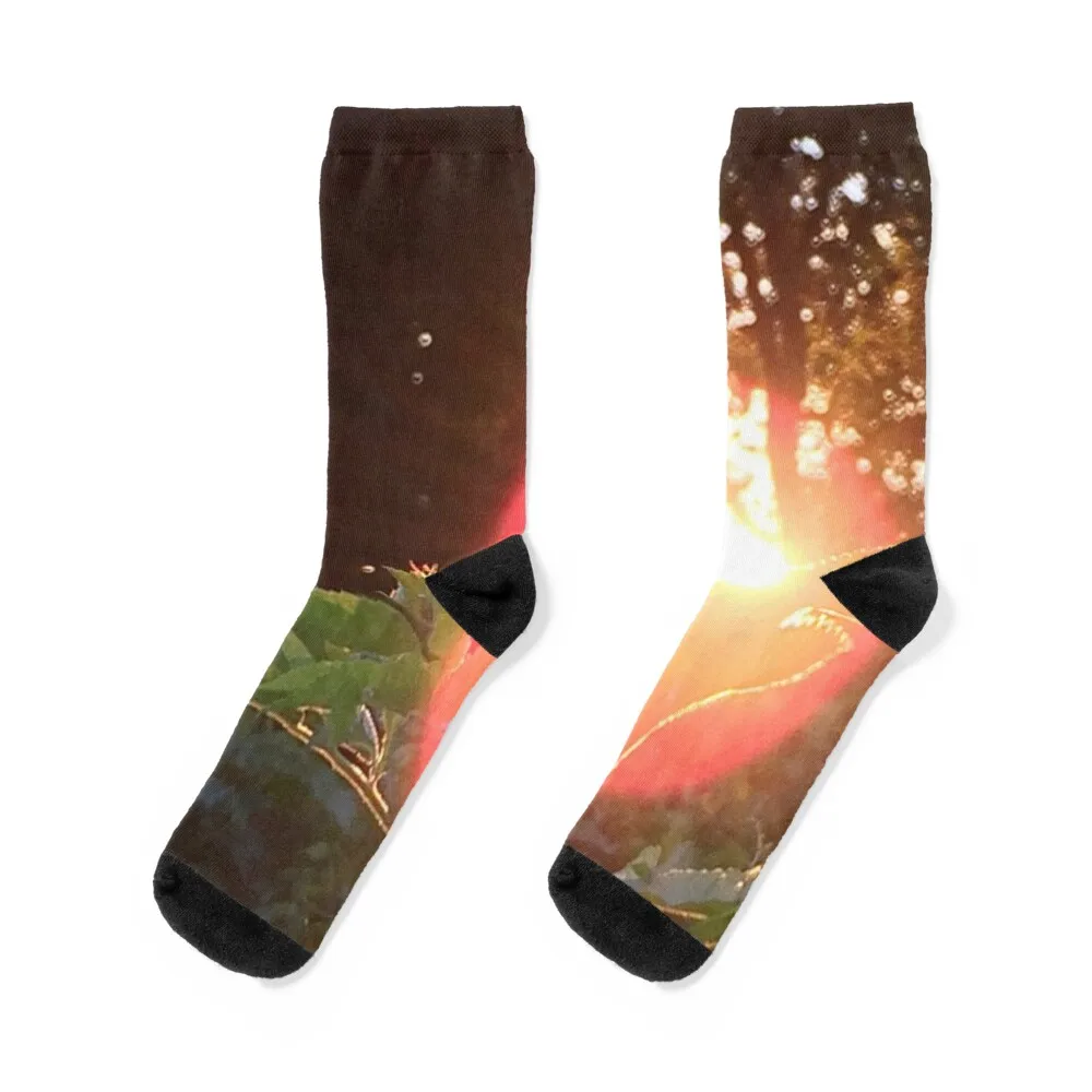 

Illuminated Socks crazy hiking Soccer kids Designer Man Socks Women's