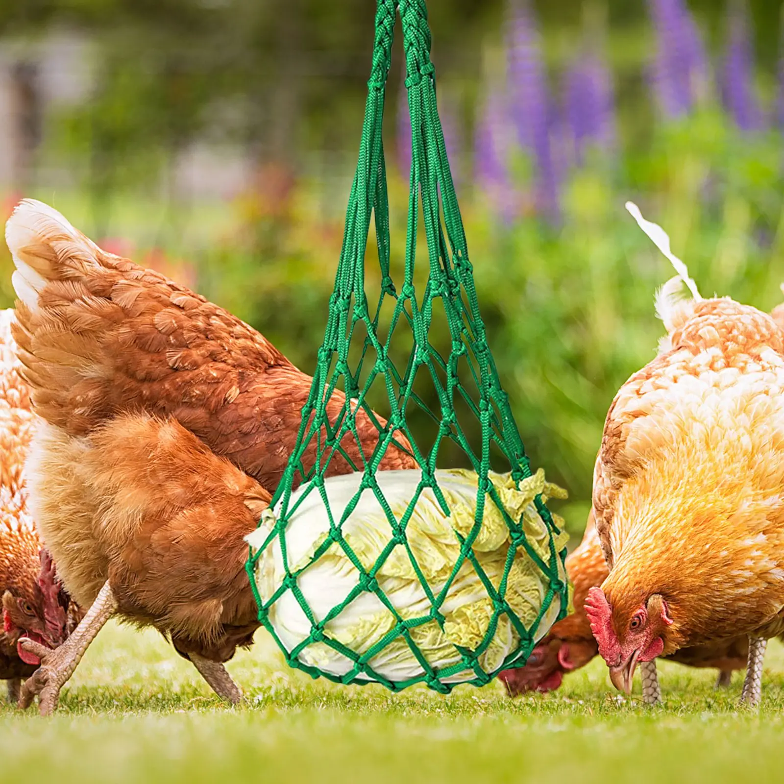 6 Pcs Vegetable Feeding Net Chicken Bed for Chickens Reusable Produce Bags Poultry