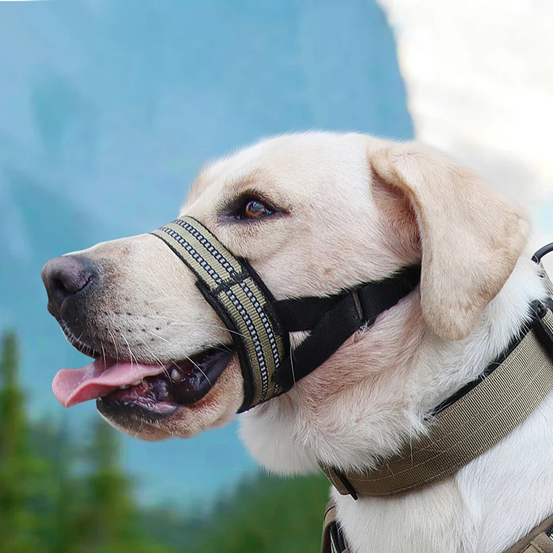 

Dog Bark Deterrents Reflective Tactical Muzzle for Medium Large Dogs Labrador Type Closed Pet Mouth Cover Big Dog Accessories