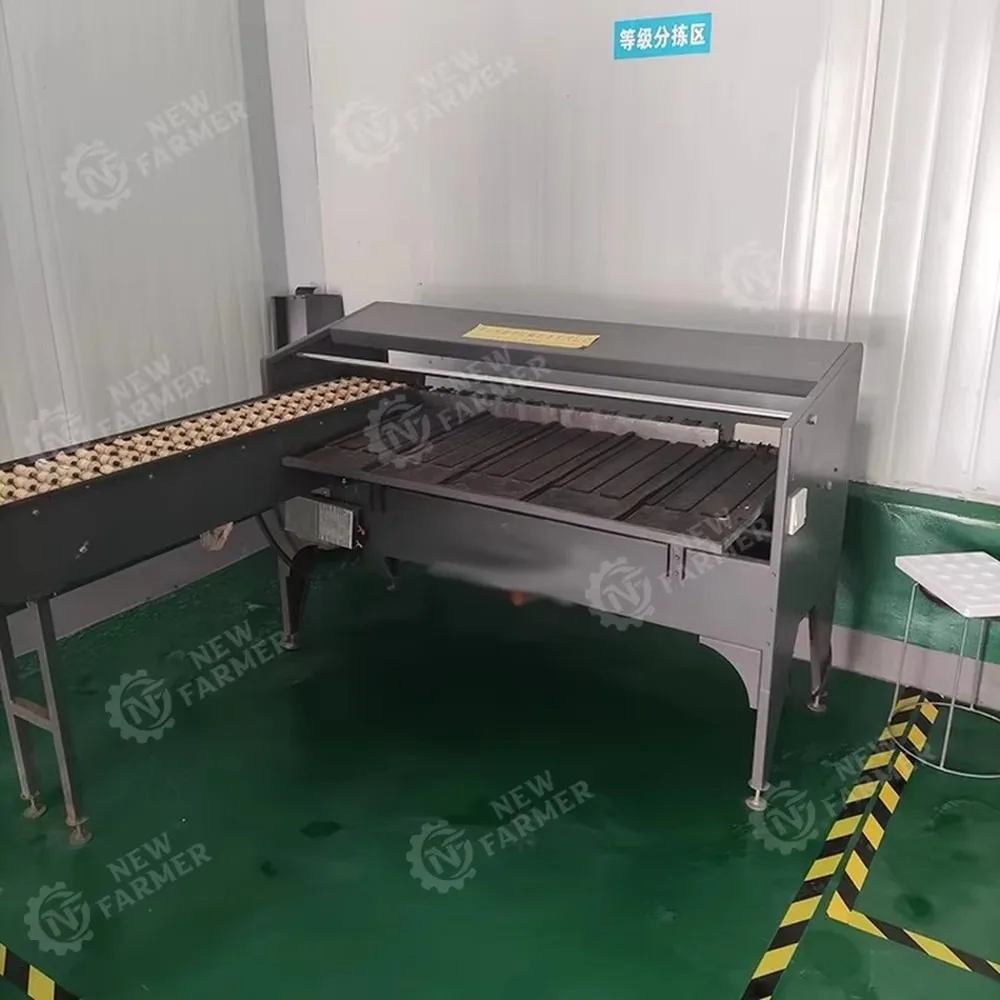 Industrial Egg Weight Sorting Machine Poultry Egg Classifier Automatic Egg Grading Sorter for Farm High Efficiency