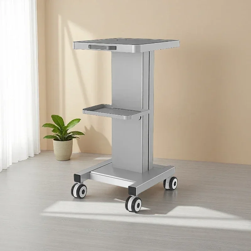 Organizer Cart Wheels Hairdressing Auxiliary Cart Organizer Professional Trolley Rolling Carro Auxiliar Con Ruedas  Furniture