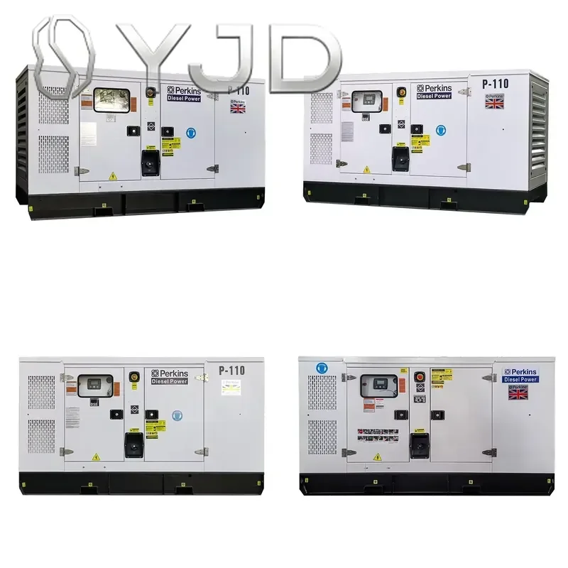 Generator 100kva Electric Generator Water-Cooled Silent for Ricardo Three-Phase Generator