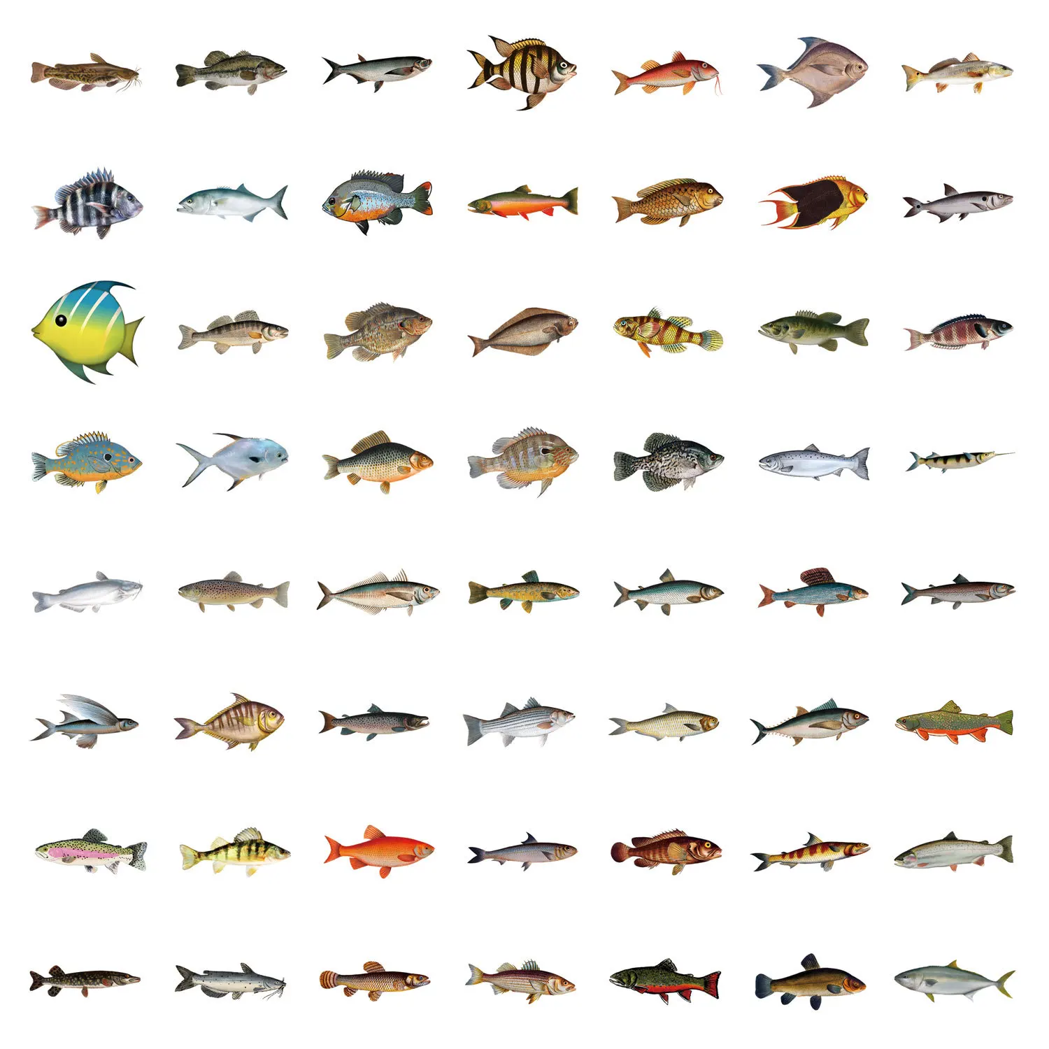 10/55/110 pièces autocollants de pêche de poisson mélangé en haute mer poisson d'océan bricolage jouet cadeau autocollant décoratif téléphone ordinateur portable tasse bagages étanche