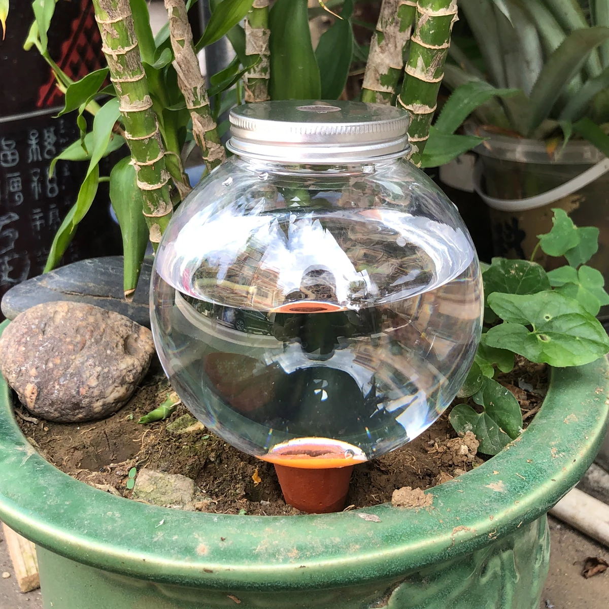 Boule d'arrosage automatique pour plantes, 2 pièces, dispositif à pointes d'arrosage automatique, système d'irrigation goutte à goutte pour plantes à fleurs de jardin