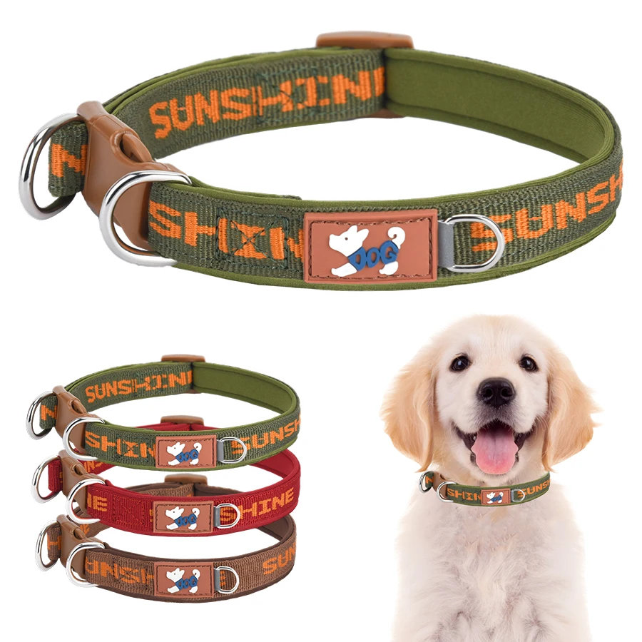 CP570 – verstellbares Hundehalsband, zwei Metall-D-Ringe und langlebige Schnallen, bunte Drucke, geeignet für große, mittlere und kleine Hunde.