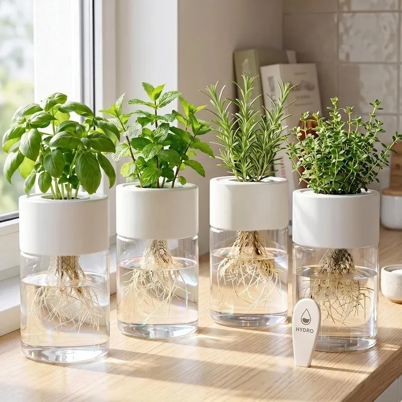 Self Watering Planter for Desktop Mini Hydroponic Pot Transparent Visible Root Growth No Soil Needed for Office Home Decoration
