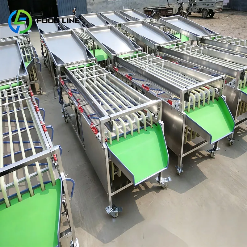 Fruit Grader Fruit Sorting Machine Size Sorter for Apple Pear Orange Lemon Tomato Avocado Customized