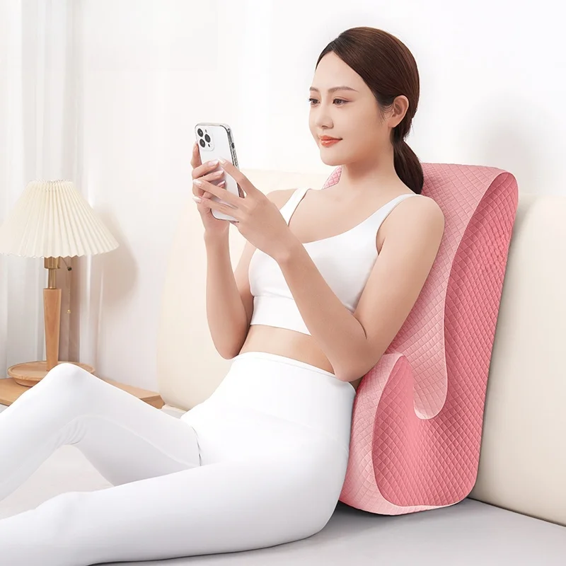 Thumbnail 3 - #79 Most Popular Backrest Pillows