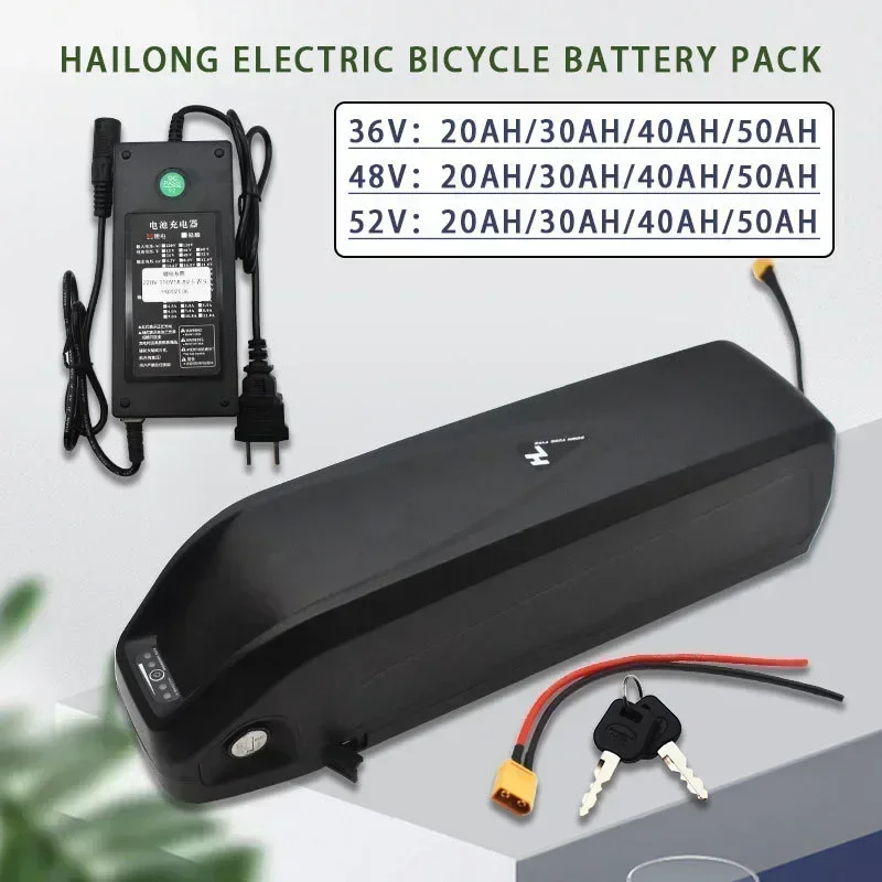 Electric Bicycle Hailong Battery 36V 48V  USB 18650 BBS02 BBS03 BBSHD  30ah 40Ah 50Ah 500W 750W 1000W 1500W Scooter Battery