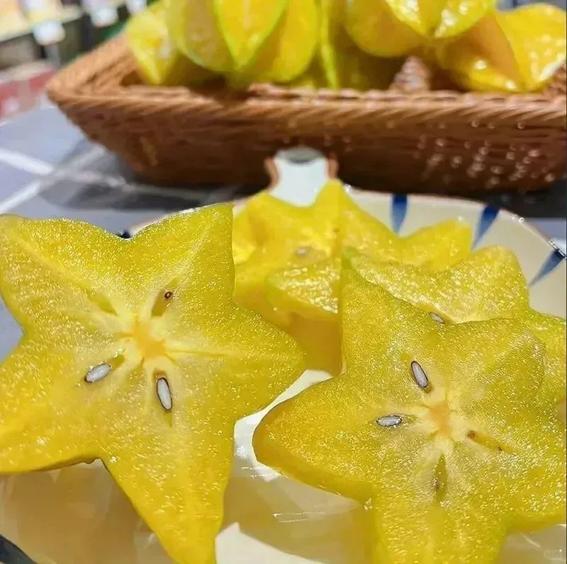 Hair Removal Diode Laser Beauty Equipment 808nm Super Cooling 3 Wavelength New Model