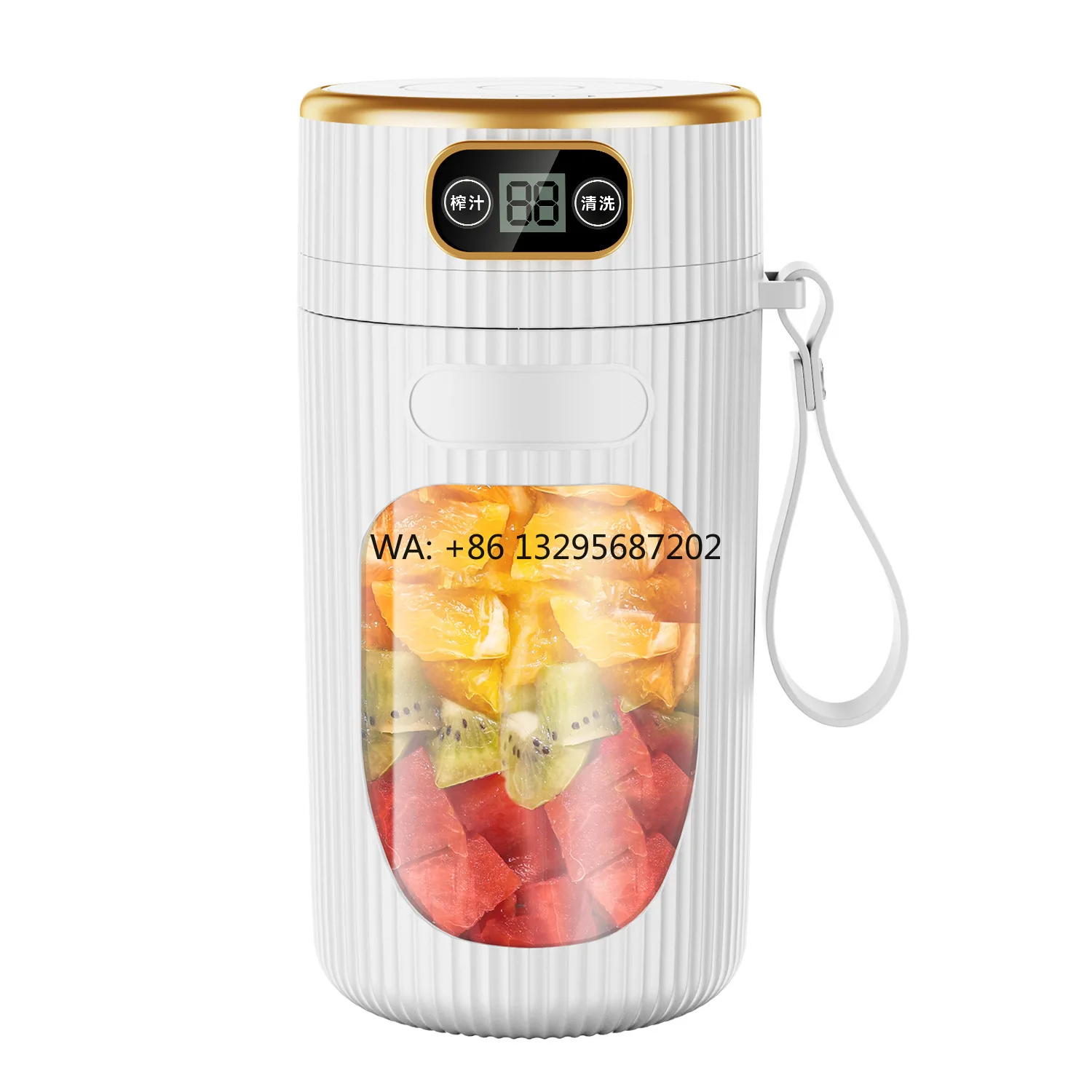 

Small Electric Fruit Juicer