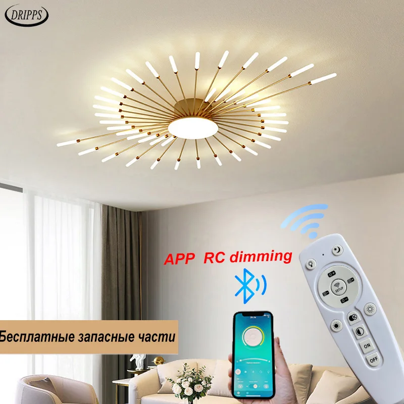 Nordic style LED living room ceiling lamp bedroom ceiling chandelier study ceiling chandelier dining room starry sky interior