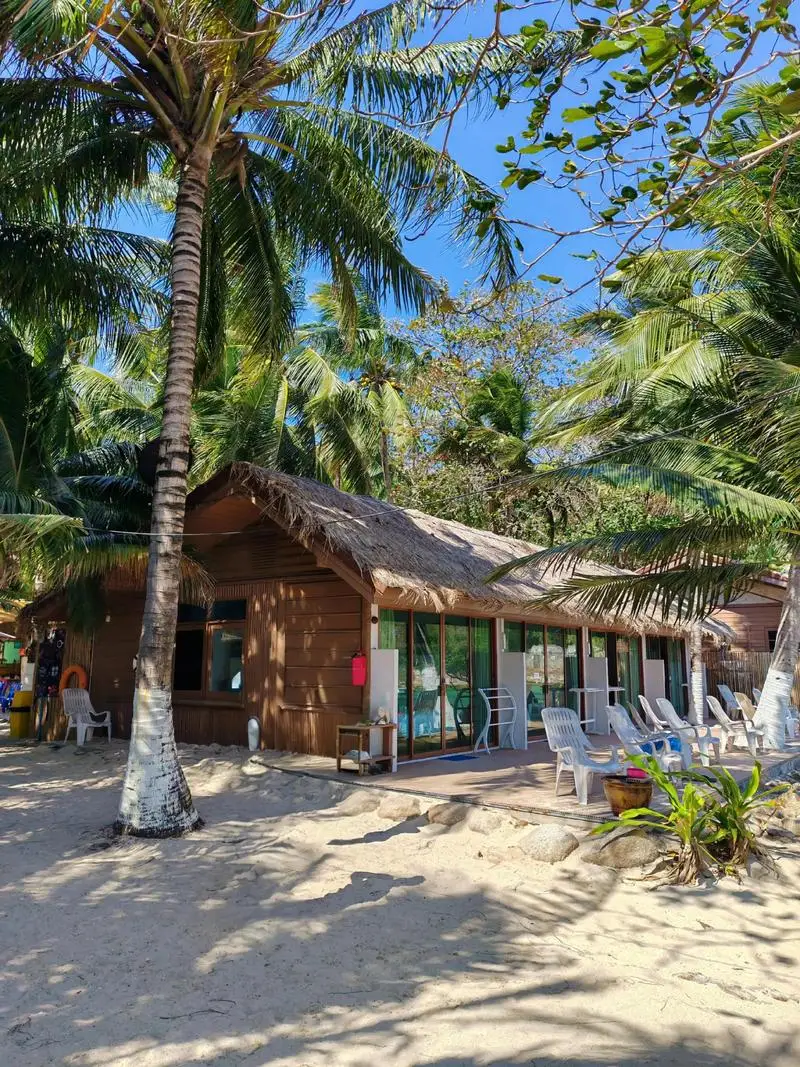 

MPPT Wind Solar Hybrid Charge Controller Wind 5000W & Solar 3000W 12/24V/48V Automatic Hybrid Controller With Dump Load Resistor