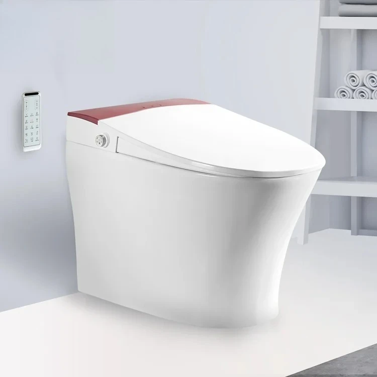 

One Touch Auto Smart Toilet Female Washing Toilet Flush Automatic Heated Sensor Bidet Toilet