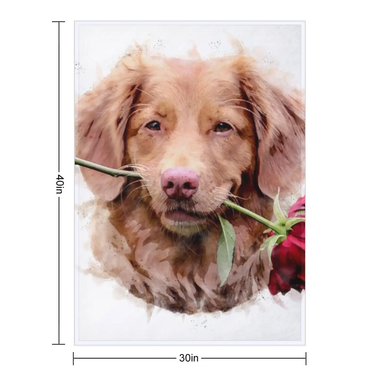 Nova Scotia Duck Tolling Retriever with rose Watercolour - Happy Valentine’s Day Throw Blanket Furrys Fashion Sofas Blankets