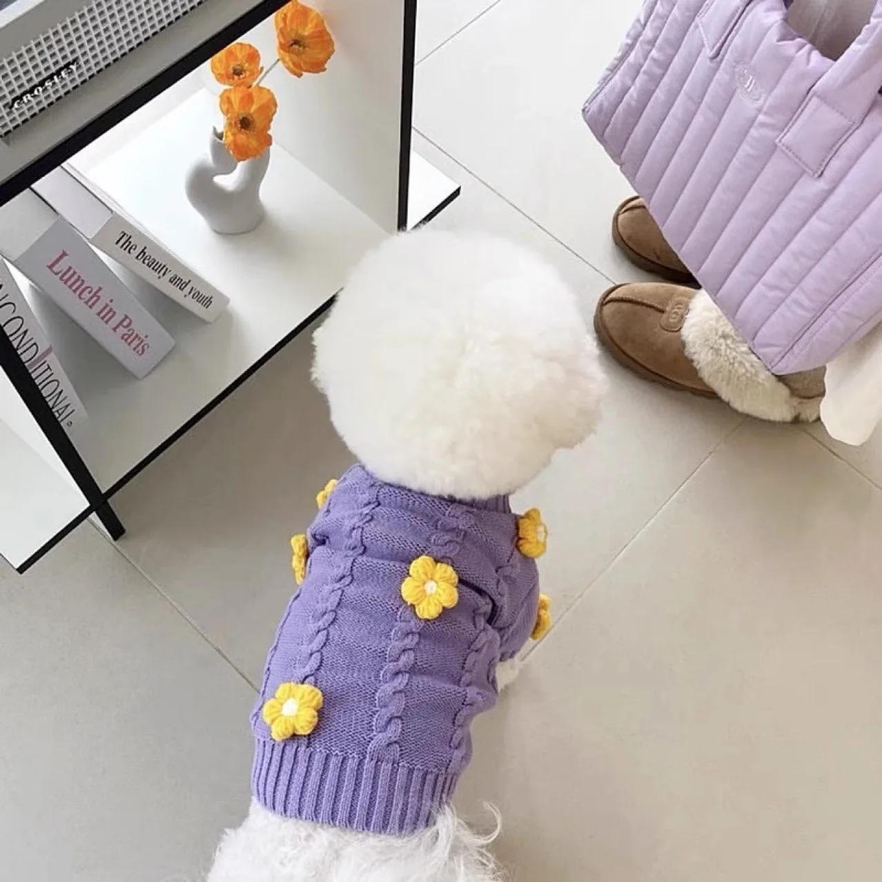 Pet Flower Sweater Dog Fried Dough Twists Knitting Sweater Teddy Bear Kitten Cat Dog Clothes Autumn Winter Clothing Pet Clothes