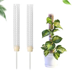 Monstera Moss Pole Stackable Moss Totem Pole For Indoor Plants Translucent Plant Support For Potted Plants Climbing Plants