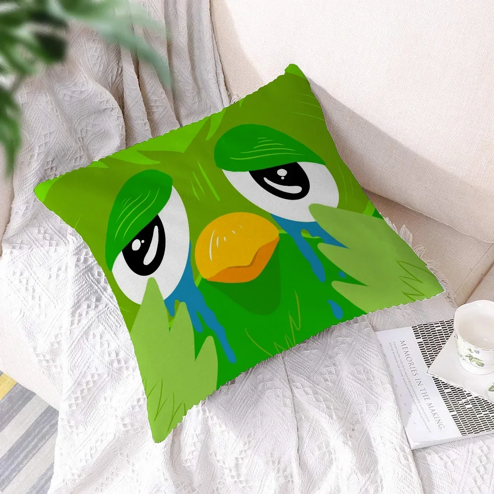 Personalized Gifts Duolingo Cute Bird Decorative Pillows for Sofa Cushions Cover Home and Decoration Throw Pillow Covers Cushion