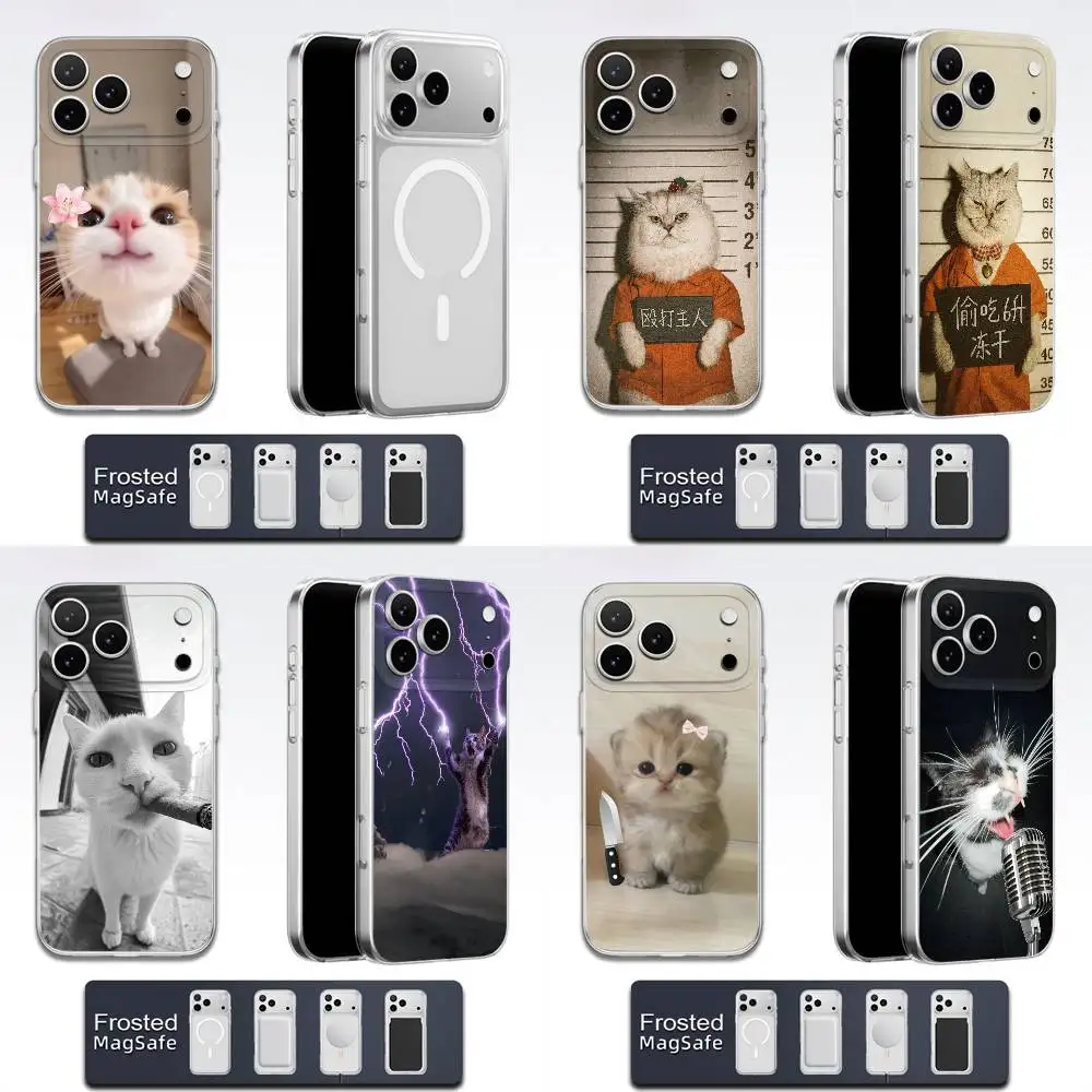 

Funny Cat Phone Case For iPhone 17,16,15,14,13,12,11,Pro,Max,Plus,E,Air,Mini Magsafe Magnetic Wireless Frosted Transparent