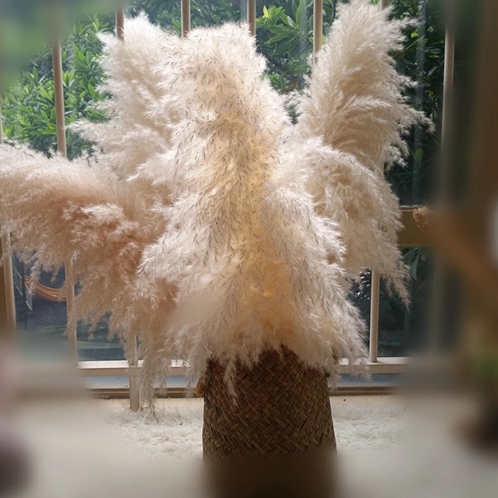 80cm Large Fluffy Natural Pampas Grass Arrangements Bohemian Pampas Dried Flowers For Wedding Party Home Table Office Decoration