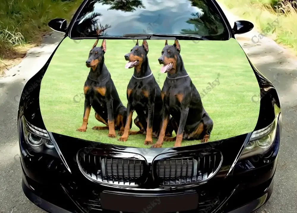 

German Doberman Pinscher Car Hood Wrap Color Vinyl Sticker Decal Truck Graphic Bonnet Custom Auto Acccessories Decoration Cover