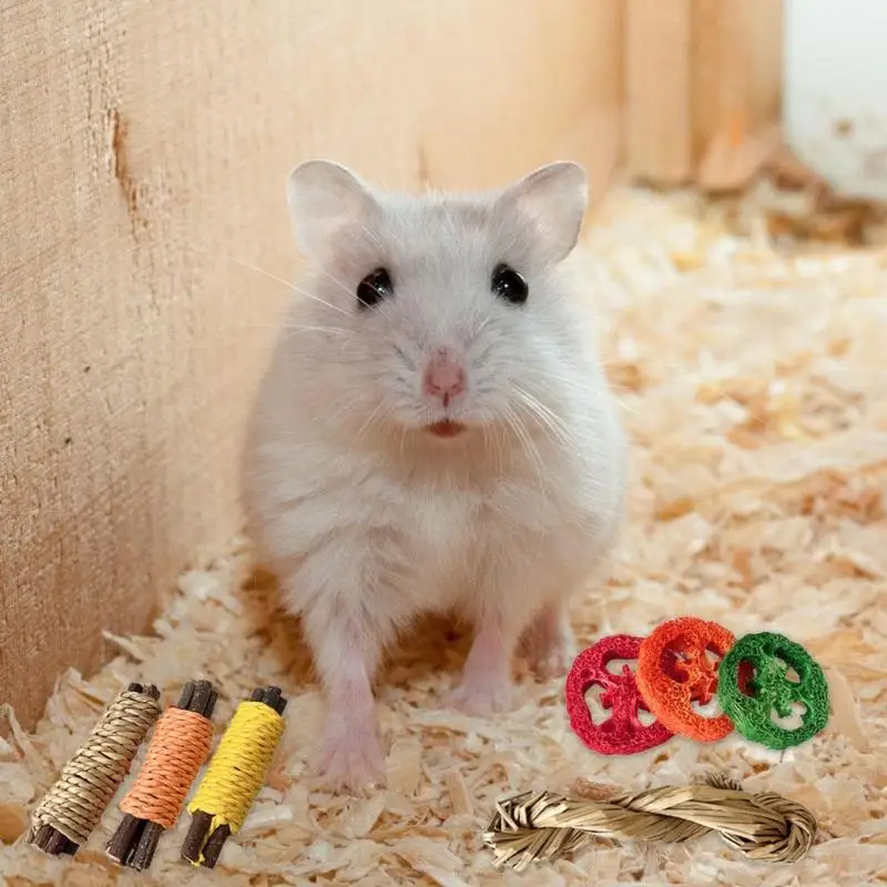 Q9QA Natural Kautkellerstab für kleine Haustier Hamster Schleifspielzeughülle Unterhaltungsspielzeug